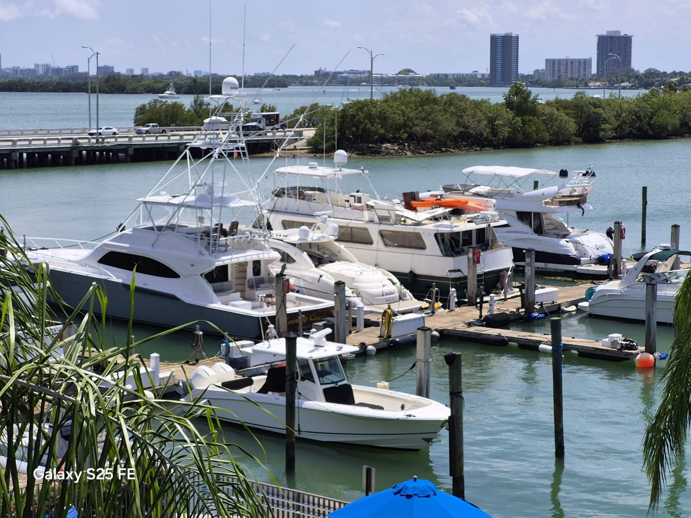Luxury yacht at a Miami marina — maritime concierge and vessel oversight